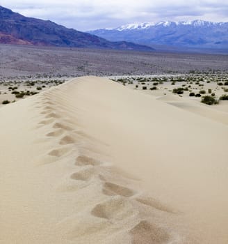 sand dune with snow capped mountains