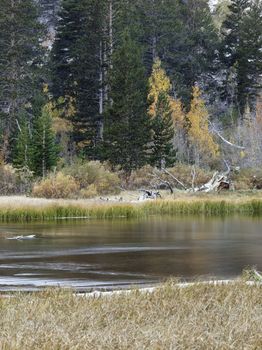 scenic view of lake and trees