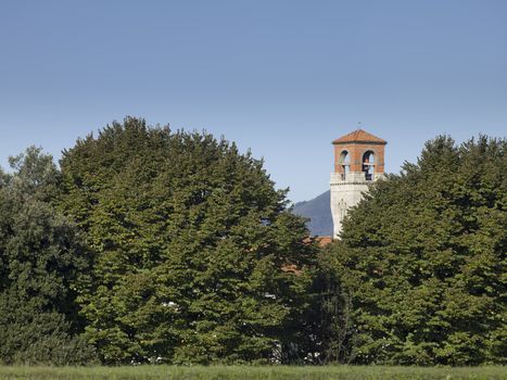 tall trees covering the church in tuscany