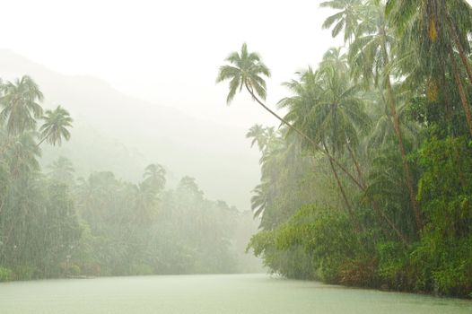 Tropical rain above river running through rainforest