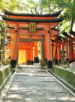 Wooden  Torii Gates at Fushimi Inari Shrine, Kyoto, Japan