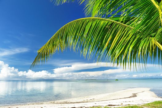 Beautiful wild beach at remote island, Philippines