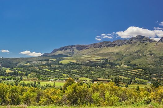 Beautiful South African landscape with a blue sky, patches of clouds, trees and grass land and hills in the background