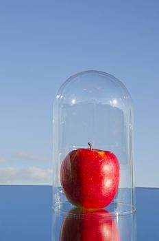 fresh red apple in glass bell on mirror and sky background