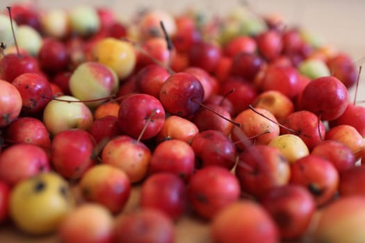 pile ripe red apples of paradise apples