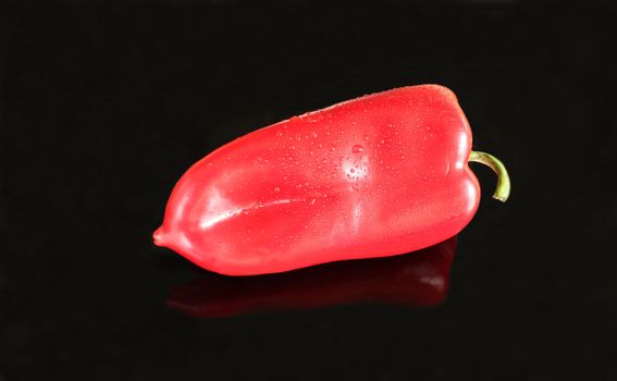 red pepper on a black background