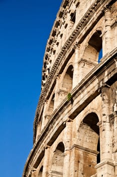 Colosseum in Rome with blue sky, landmark of the city