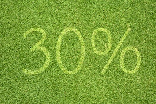 Percent icon on green grass texture and background 