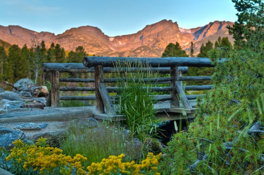 Log Bridge surrounded by colorful wild flowers, with rocky mountains lit by rising sun in the background