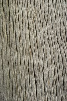 Old weathered textured wooden oak board as background