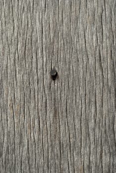 Old weathered grey wooden board with nail head