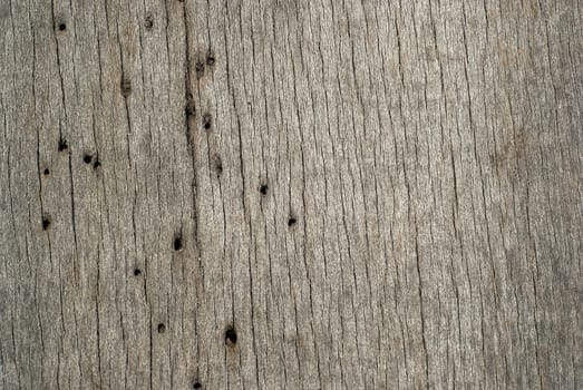 Old weathered grey wooden board with woodworm holes horizontal as background