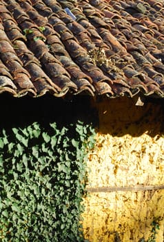 Adobe frame-build yellow wall old roof tiles green ivy