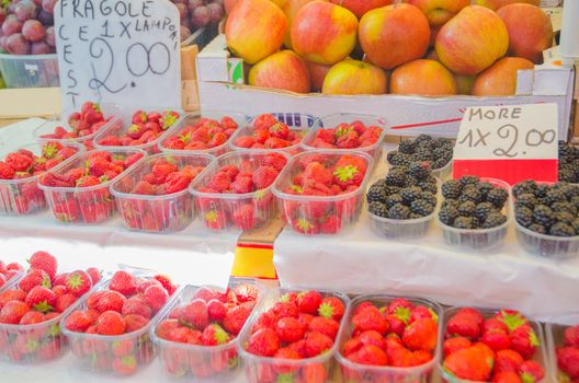 Fruits and vegetables at the market stall