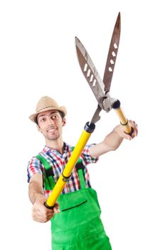 Man gardener with shears on white