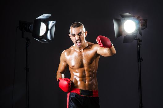 Boxer and studio lights
