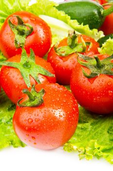 Cucumbers and tomatoes ready for salad