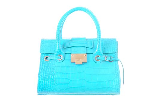 Elegant woman bag isolated on white