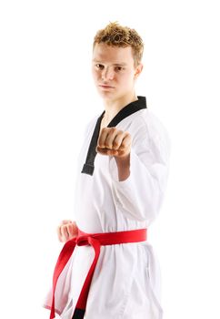 Man training taekwondo Isolated on white background