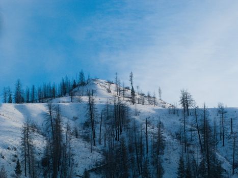 Snowy hillside in Kamloops, British Columbia, Canada