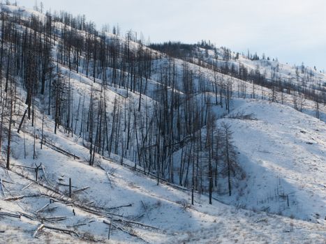 Snowy hillside in Kamloops, British Columbia, Canada