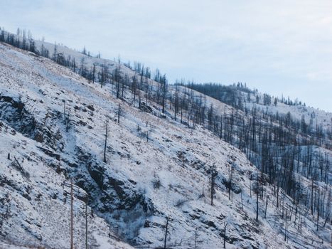 Snowy hillside in Kamloops, British Columbia, Canada