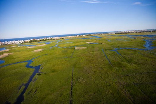 Aerial view of green field and river