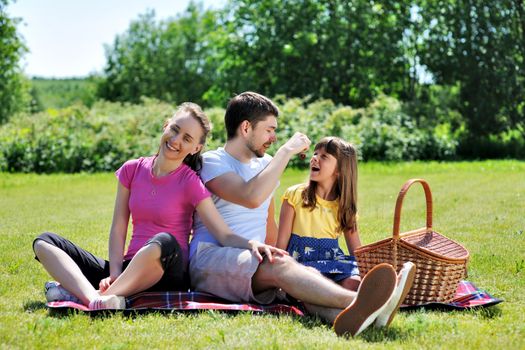 Family on picnic at sunny day