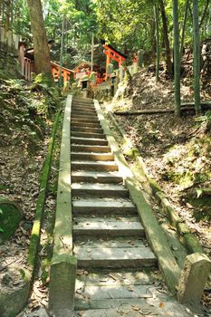 Wooden  Torii Gates at Fushimi Inari Shrine, Kyoto, Japan