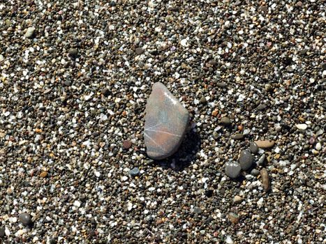 wet pebbles on the beach of the Black Sea 1