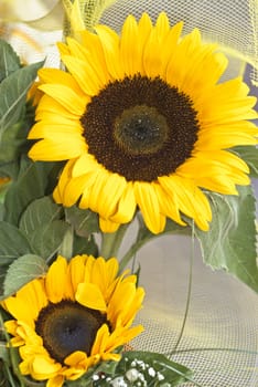 bouquet of sunflowers. two sunflowers with decoration