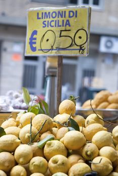 lemons of sicily for sale on the ballaro market