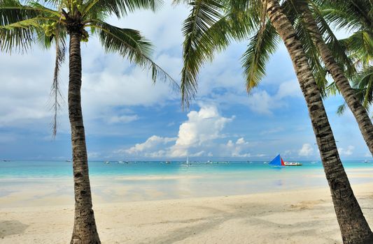 Beautiful beach with palm trees at Philippines