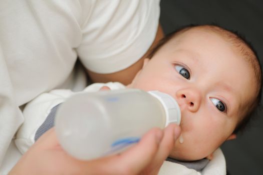 Dad feeding his newborn baby