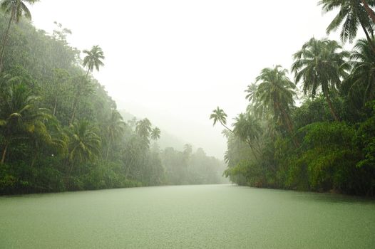 Tropical rain above river running through rainforest