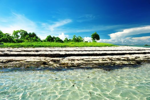 Beautiful beach at Bohol, Philippines