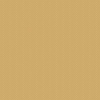 the seamless background for a beautiful interior