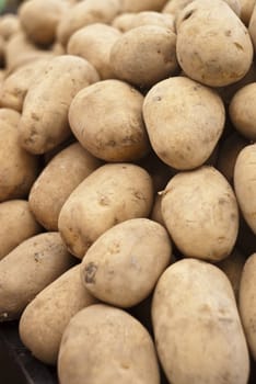 Pile of old potatoes for sale to the market