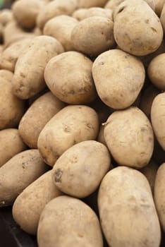 Pile of old potatoes for sale to the market