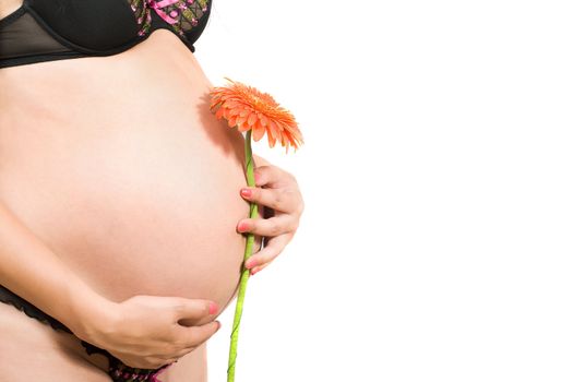 Belly of a pregnant young woman. Isolated