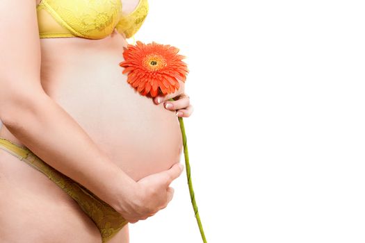 Belly of a pregnant young woman with flower