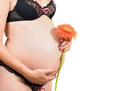 Belly of a pregnant girl. Isolated on white
