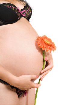 Belly of a pregnant young woman. Isolated on white
