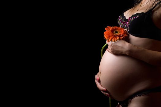 Belly of a pregnant woman with flower. Isolated