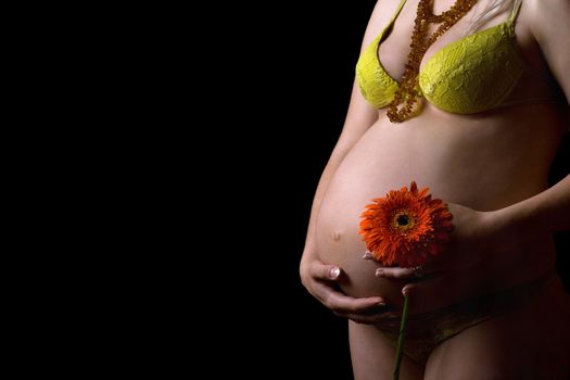 Belly of a pregnant young woman with flower. Isolated on black