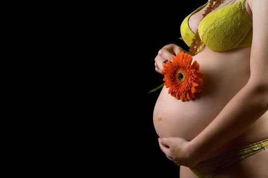 Belly of a pregnant young woman with flower. Isolated