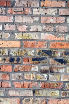 old wall from a red brick. background 2