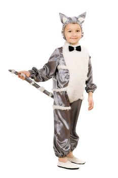 Boy dressed as cat. Isolated on white background