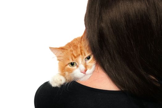 Kitten on the shoulders of women. Isolated