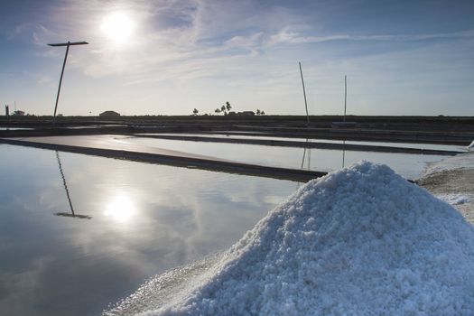 Salt industry in the city of Aveiro - Portugal